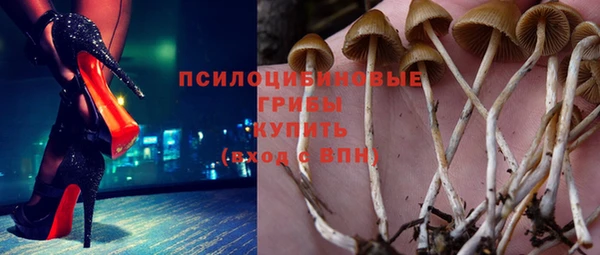 спиды Нефтекумск